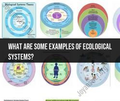 Examples of Ecological Systems: Nature's Complexity