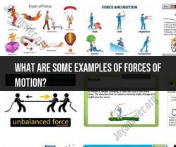 Examples of Forces in Motion: Real-Life Scenarios
