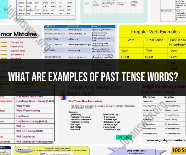 Examples of Past Tense Words: Language Examples