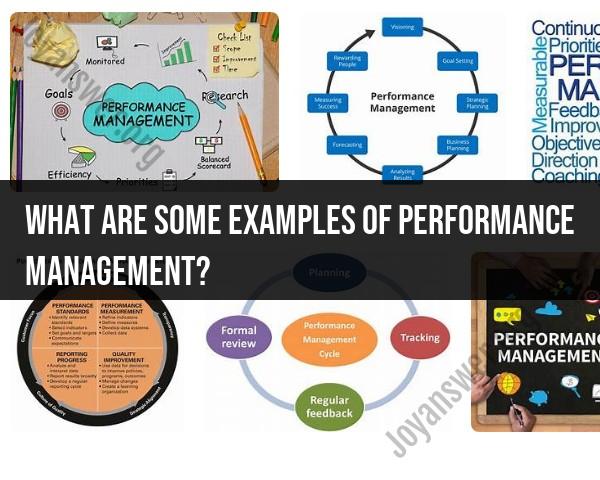 Examples of Performance Management: Illustrative Instances