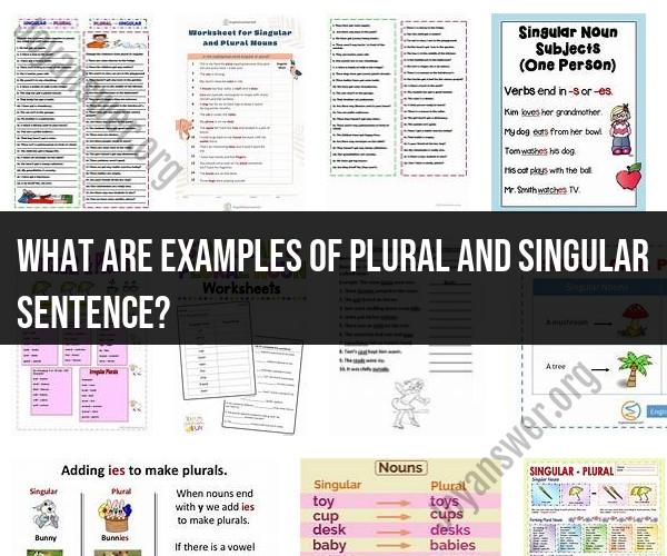 Examples of Singular and Plural Sentences: Understanding the Difference