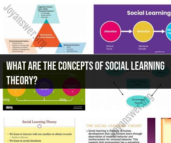 Examples of Social Learning Theory in Everyday Life