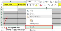 Excel Row Magic: How to Insert Multiple Rows in Excel [Easy Technique]