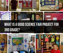 Exciting Science Fair Projects for 3rd Graders