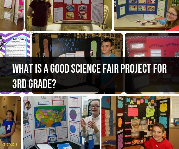 Exciting Science Fair Projects for 3rd Graders