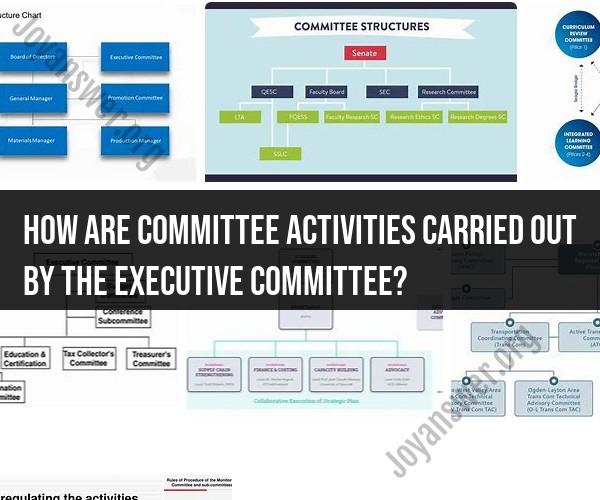 Executive Committee and Its Role in Committee Activities