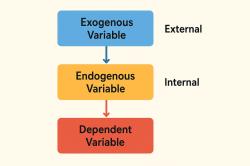 Exogenous Variables in Research: Definition and Examples