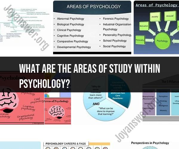 Exploring Areas of Study in Psychology