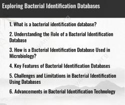 Exploring Bacterial Identification Databases