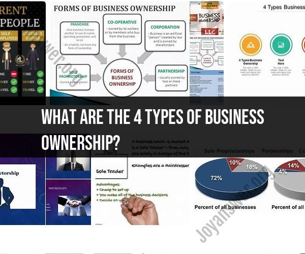 Exploring Business Ownership: The 4 Primary Types