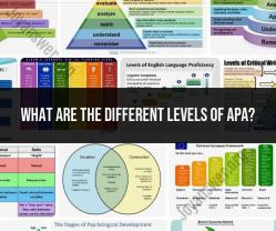 Exploring Different Levels of APA Style