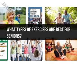 Exploring Effective Exercises for Seniors