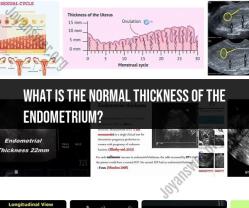 Exploring Endometrial Thickness: What's Considered Normal?