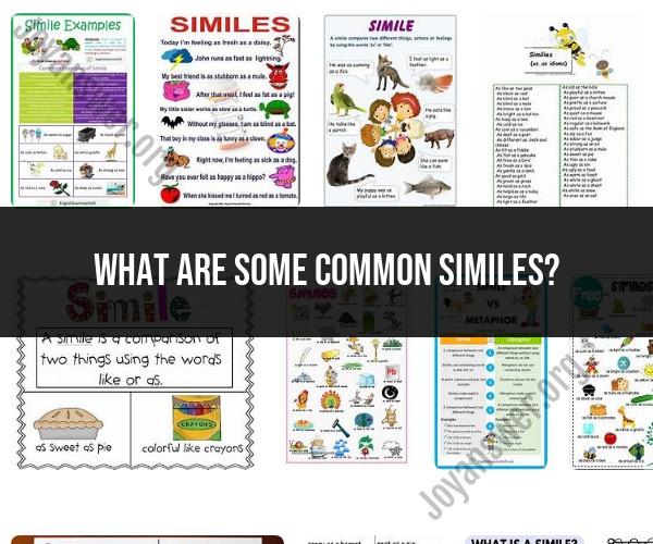 Exploring Familiar Similes: Common Comparisons in Language