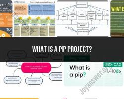 Exploring PIP Projects: What They Entail