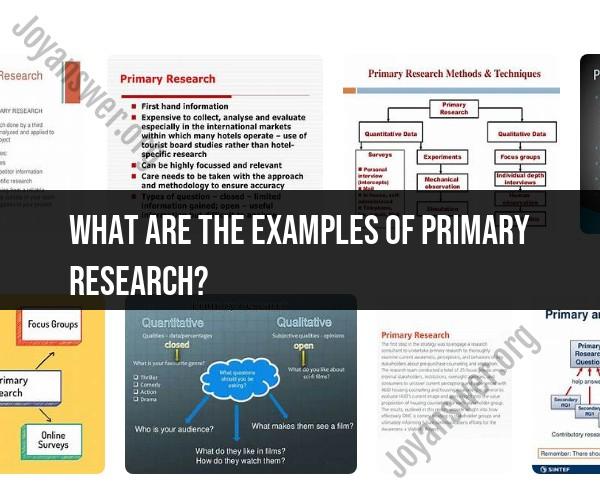 Exploring Primary Research: Examples Across Disciplines