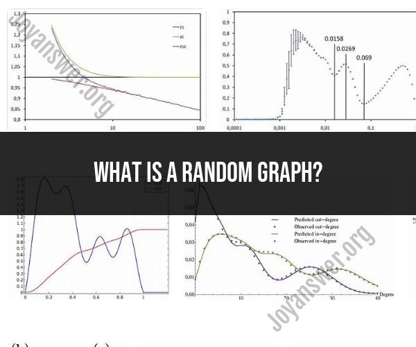 Exploring Random Graphs: Concepts and Characteristics