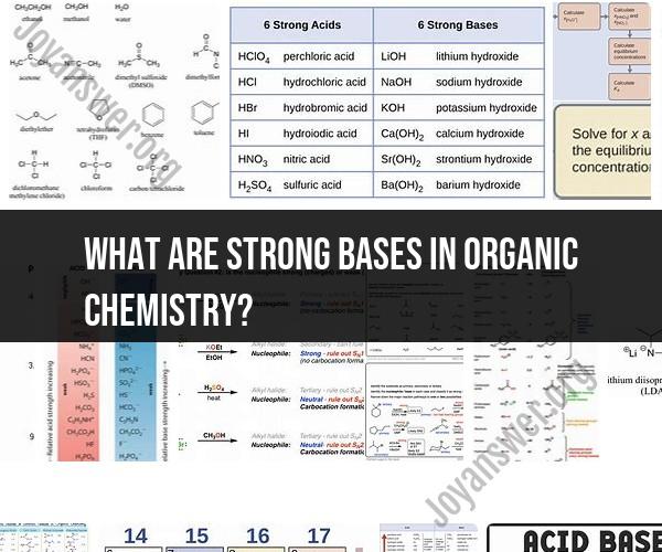 Exploring Strong Bases in Organic Chemistry