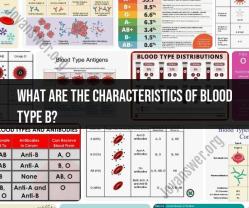 Exploring the Characteristics of Blood Type B