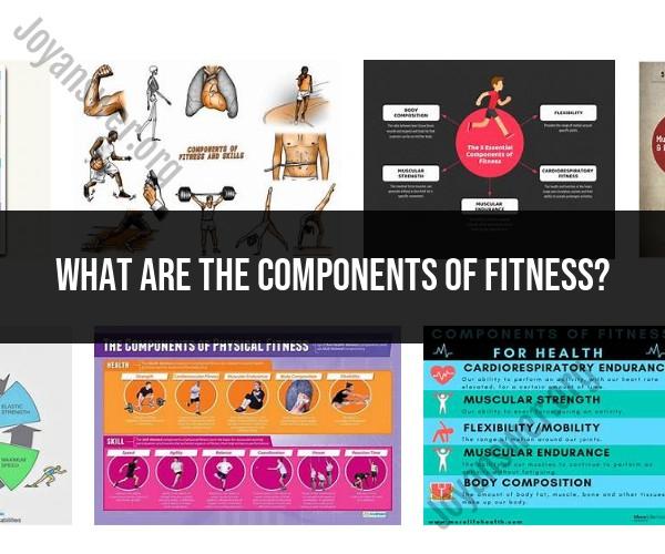 Exploring the Components of Fitness: A Comprehensive Overview