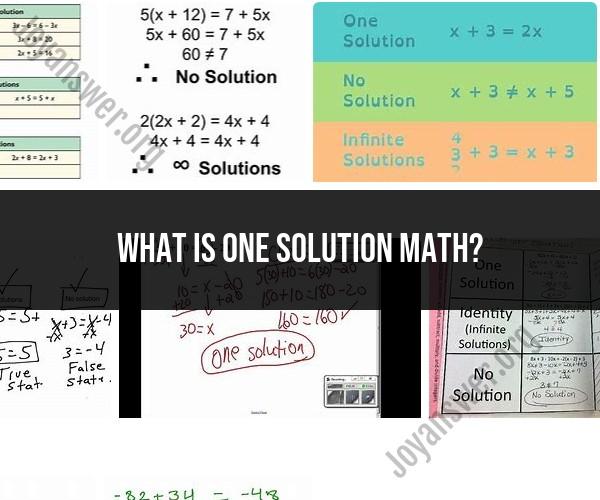 Exploring the Concept of One Solution in Mathematics