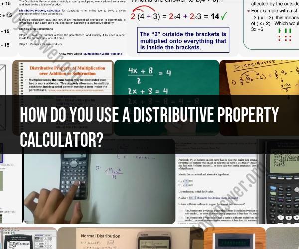 Exploring the Distributive Property Calculator: Functionality and Usage