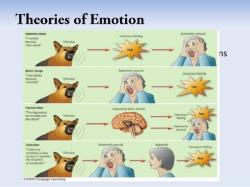 Exploring the Four Major Theories of Emotion: Comprehensive Overview