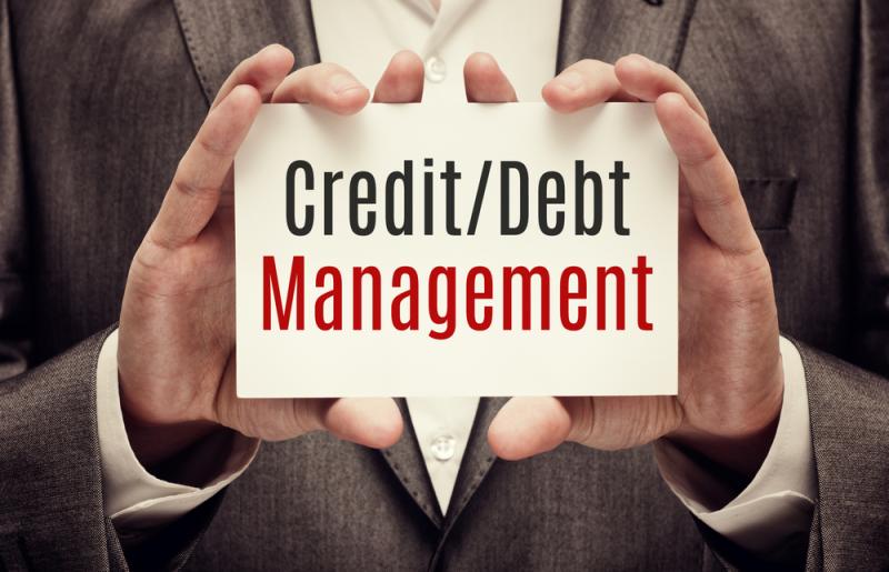 Exploring the Functions of Debt Management Services