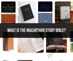 Exploring the MacArthur Study Bible: Features and Benefits