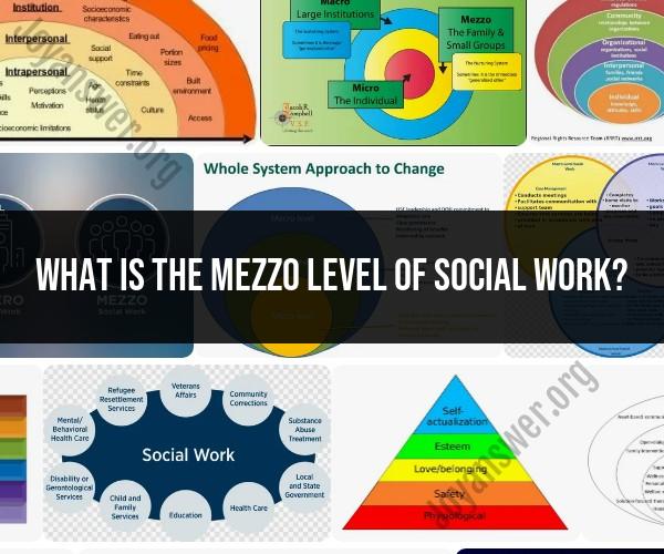 Exploring the Mezzo Level of Social Work Practice