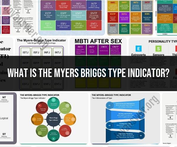 Exploring the Myers-Briggs Type Indicator (MBTI)