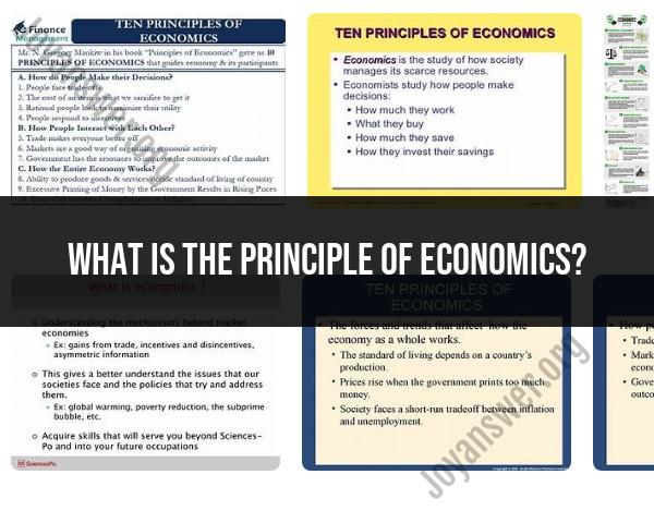 Exploring the Principle of Economics