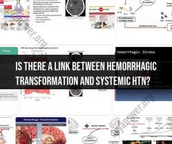 Exploring the Relationship Between Hemorrhagic Transformation and Systemic Hypertension
