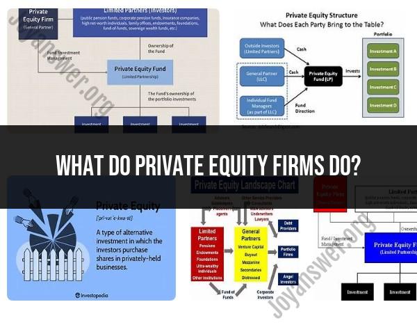 Exploring the Role of Private Equity Firms