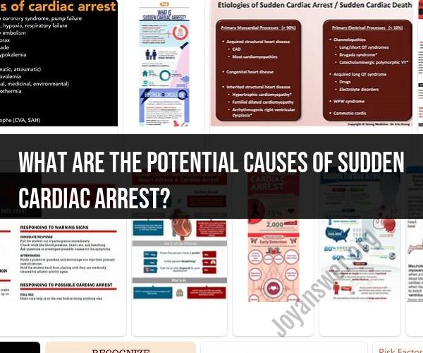 Exploring the Triggers of Sudden Cardiac Arrest