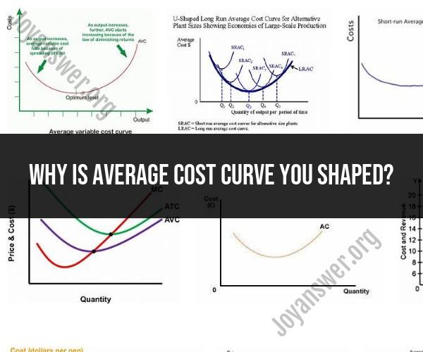 Exploring the U-Shaped Average Cost Curve: Factors and Explanations