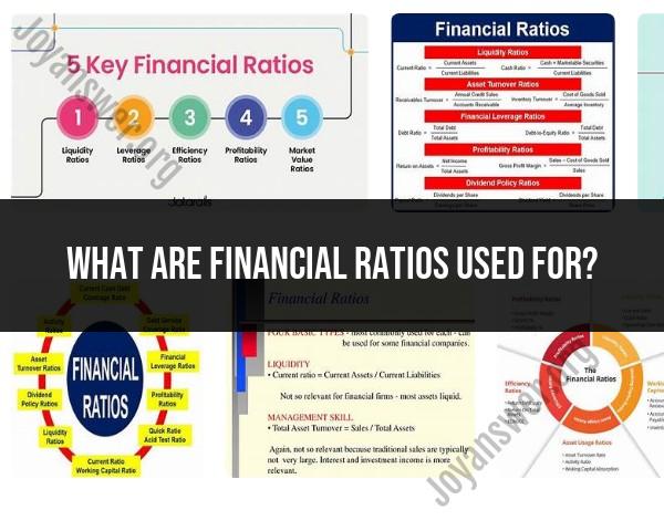 Exploring the Use of Financial Ratios