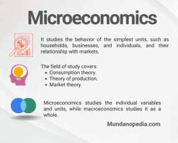 Exploring Theories in Microeconomics: Key Concepts