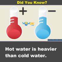 Exploring Water Density: Hot vs. Room Temperature