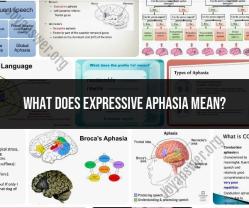 Expressive Aphasia: Understanding Communication Impairment