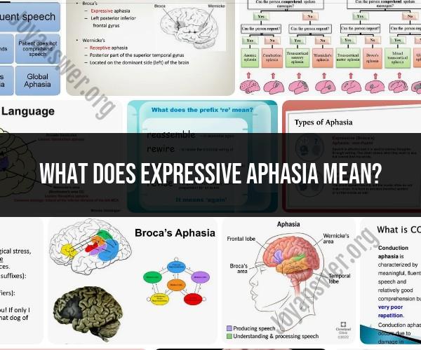 Expressive Aphasia: Understanding Communication Impairment