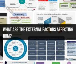 External Factors Affecting HRM: Human Resource Management Insights