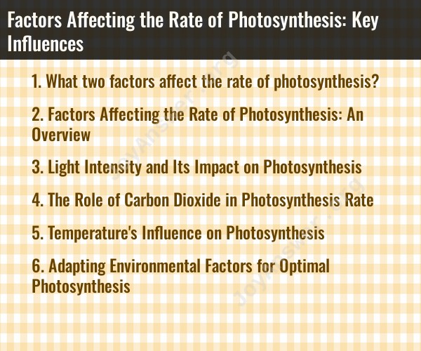 Factors Affecting the Rate of Photosynthesis: Key Influences