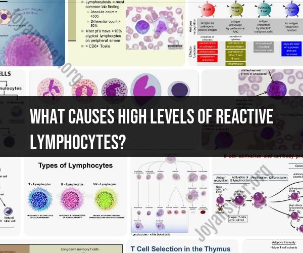 Factors Behind Elevated Reactive Lymphocyte Levels