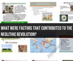 Factors Contributing to the Neolithic Revolution