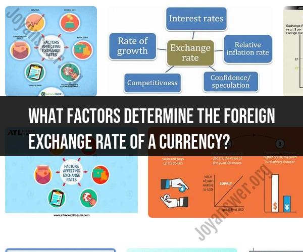 Factors Influencing Foreign Exchange Rates: Determinants