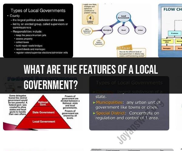 Features of Local Government: Key Characteristics