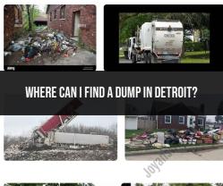 Finding a Dump in Detroit: Waste Disposal Information