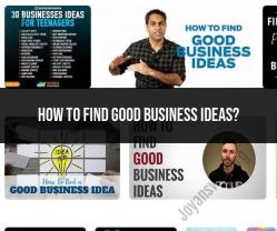 Finding Good Business Ideas: Entrepreneurial Insights