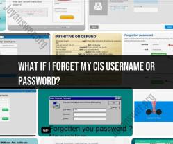 Forgot CIS Username or Password: Account Recovery Options